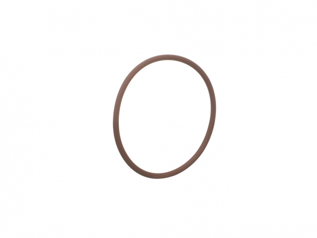 17290581 O-RING