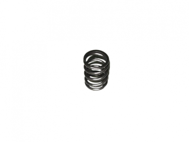 VALVE SPRING 5088013