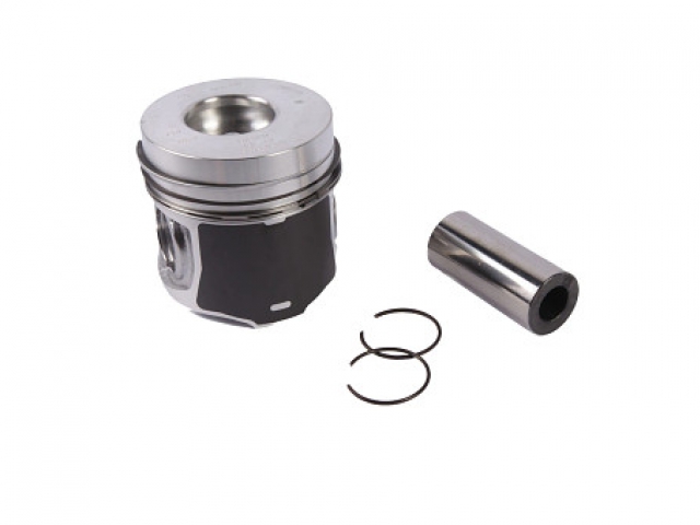 PISTON ASSY 5093010