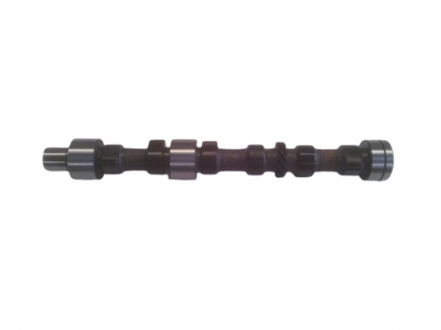 CAMSHAFT 84300579